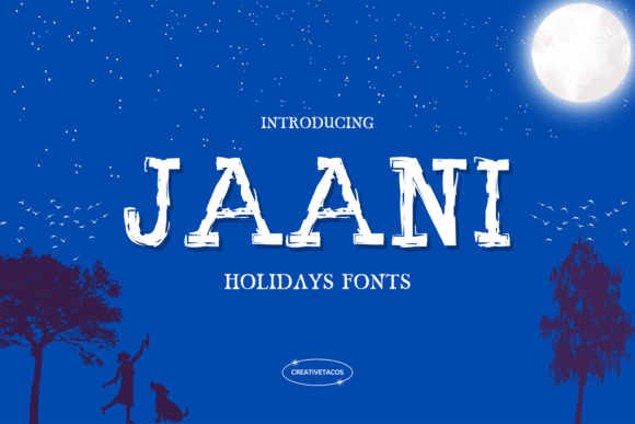 Elevating Web Design with the Jaani Holidays Font